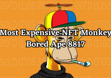 BAYC 8817 - most expensive nft monkey